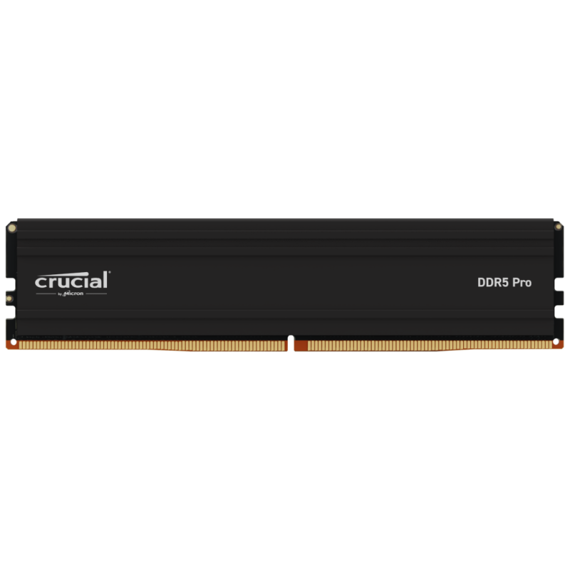 Memoria Crucial 24GB DDR5 5600MHz Pro